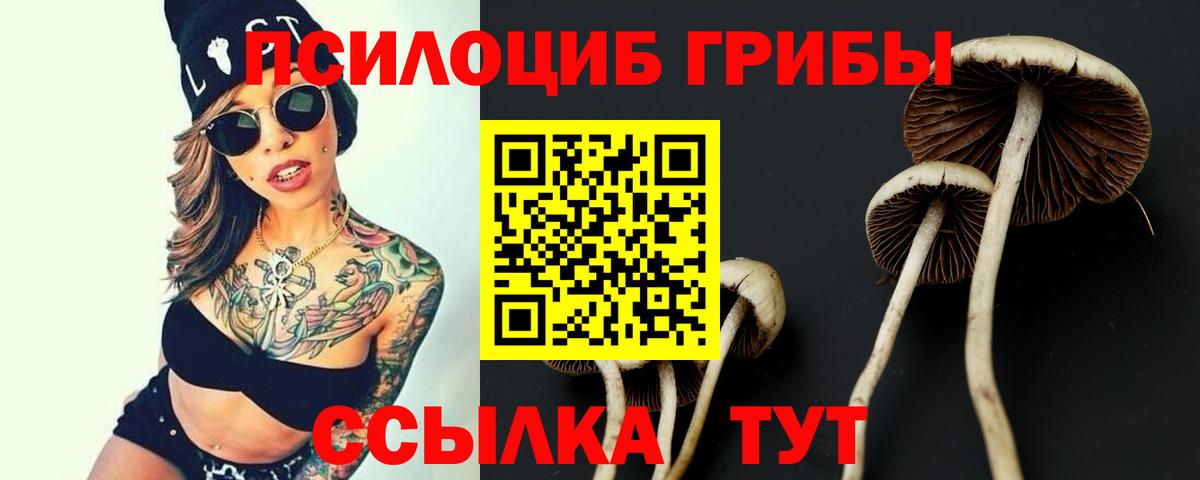 Псилоцибиновые грибы Cubensis Лабытнанги